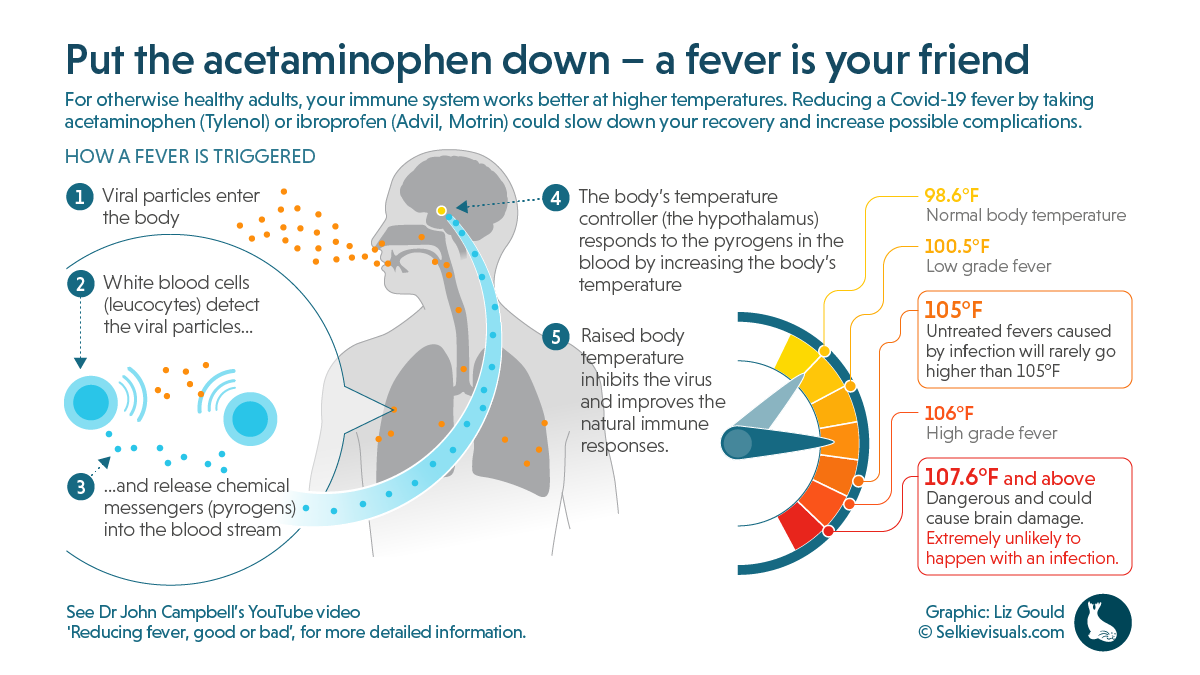 Fever is your friend