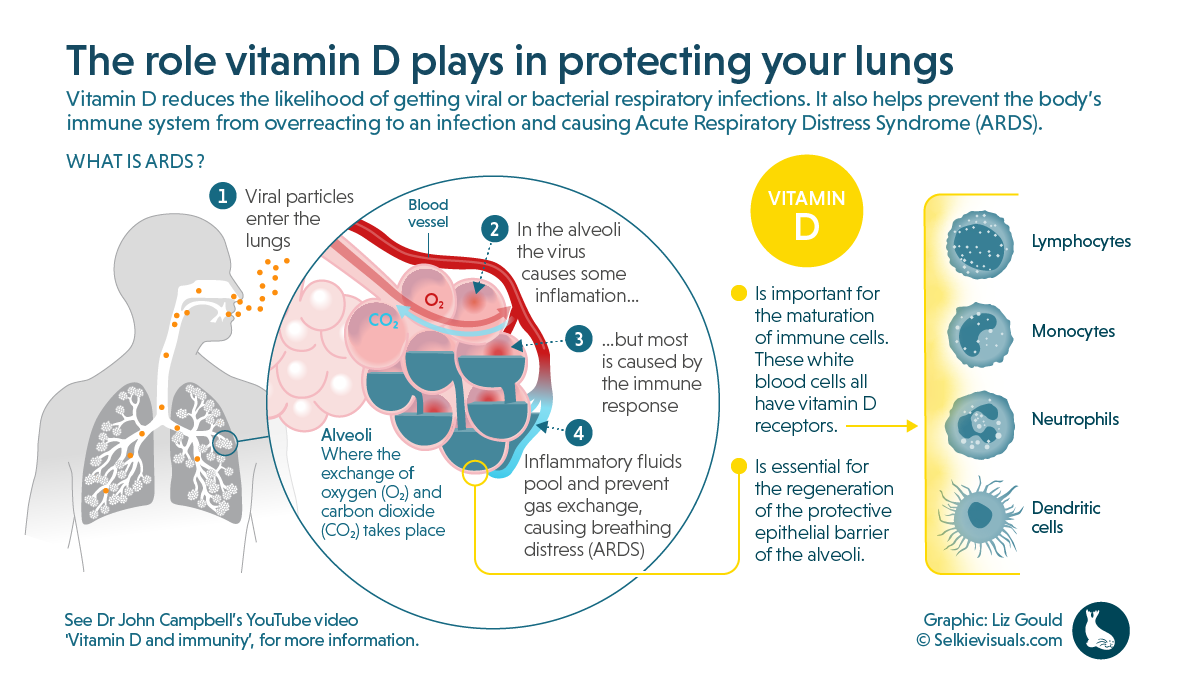 Vitamin D regulates immunity